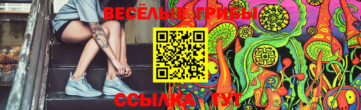 Нововоронеж  Псилоцибиновые грибы MAGIC MUSHROOMS  Вход с VPN 